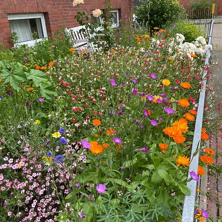 Kim 2 - Souterrain Monteurwohnung Guest house